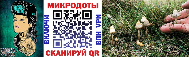 Купить закладки  Лабинск  Галлюциногенные грибы MAGIC MUSHROOMS 